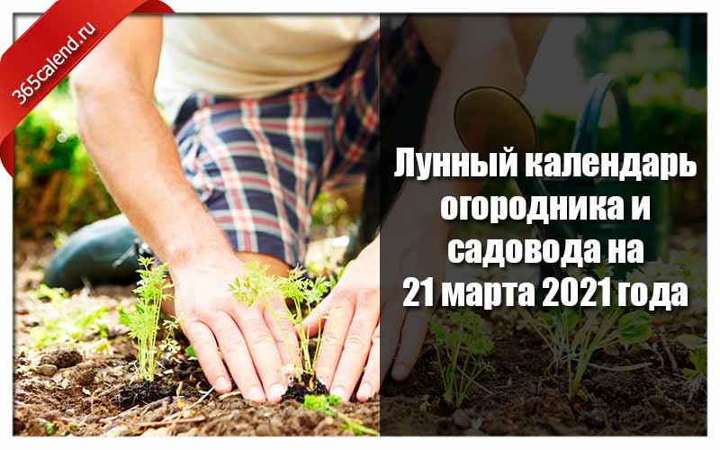Новогоднее Поздравление 2021 Садоводам И Огородникам