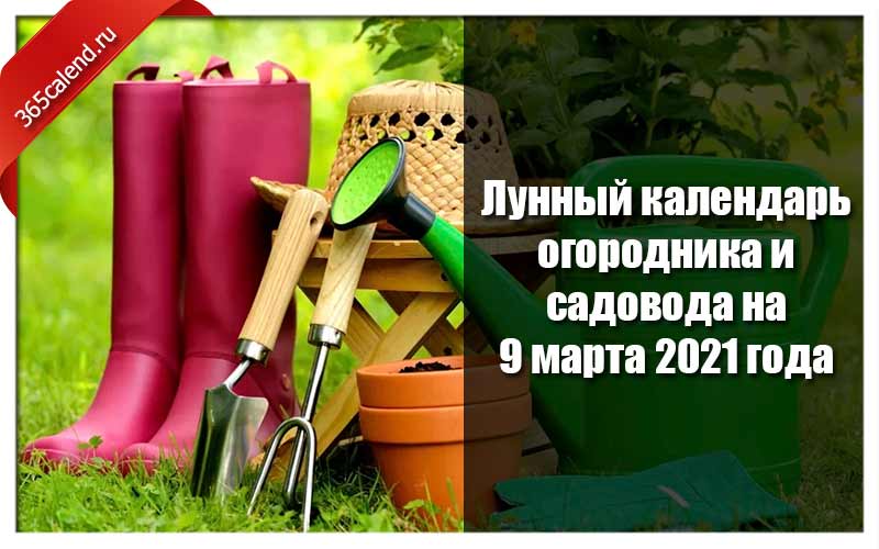 Новогоднее Поздравление 2021 Садоводам И Огородникам