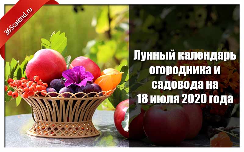 Календарь огородников на 2020 год Лунный календарь огородника и садовода на 18 июля 2020 - благоприятные дни