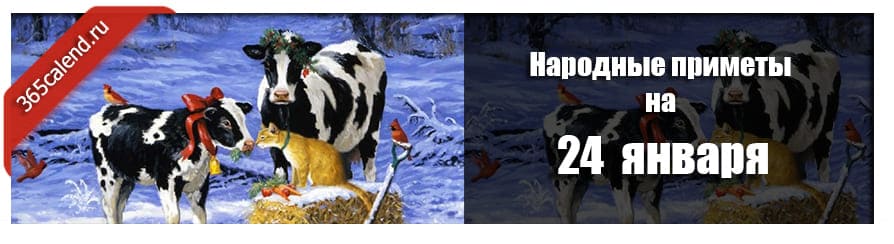 24 января 2021. 24 Января народные приметы. Коровий праздник 24 февраля. Народные приметы 24 февраля. Власьев день коровий праздник 24 февраля.