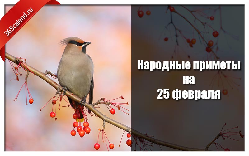 Приметы на 9 февраля 2024 года. 25 Февраля народные приметы. Приметы на 25 февраля 2022 года. 25 Февраля народный календарь. 25 Апреля народный календарь.