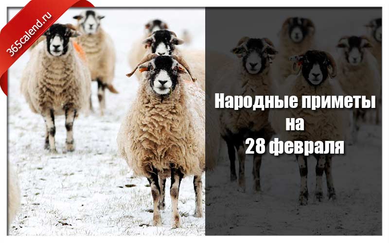 Народные приметы на 4 февраля 2024 года. 28 Февраля народные приметы. Приметы на 28 февраля 2023.