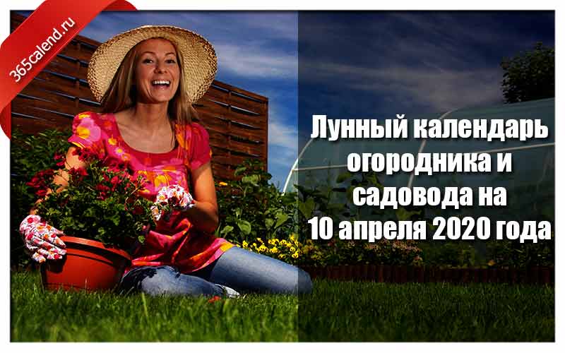 Лунный календарь огородников апрель 2020. Удачного дня Садовод.