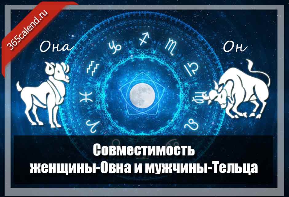 Совместимость женщины-Овна и мужчины-Тельца в любви ибраке