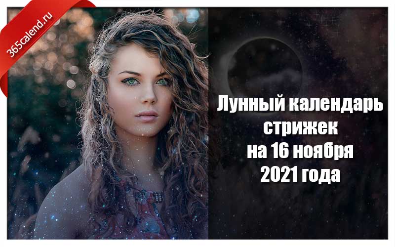 Календарь стрижек на ноябрь 2023