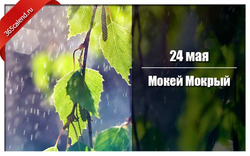 Мокий мокрый 24 мая картинки