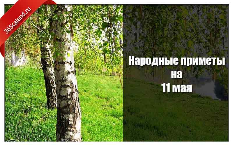 11 Мая приметы. Народные приметы на 11 мая 2024 года.