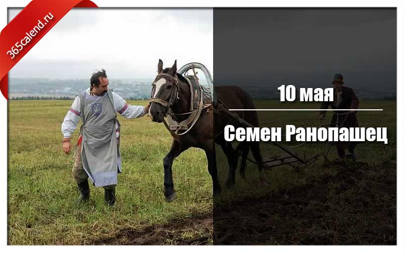 Семен ранопашец 10 мая картинки