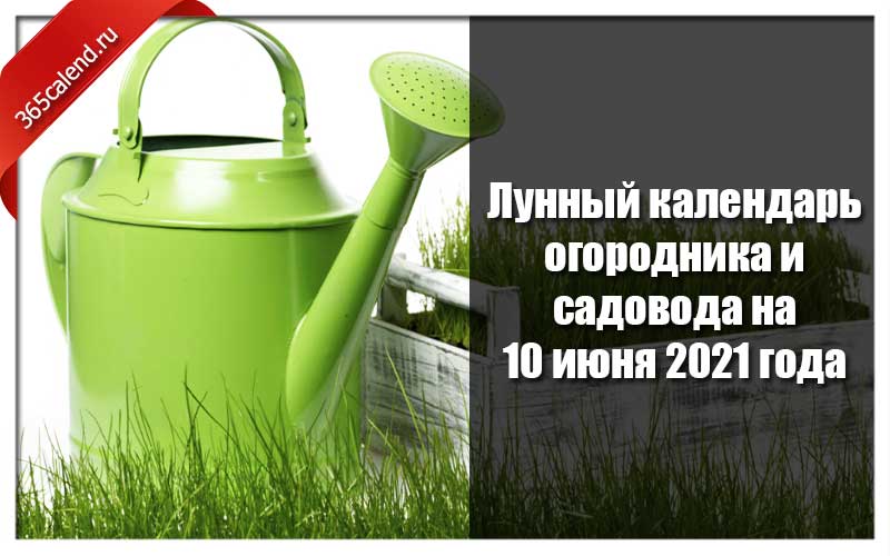 Календарь огородника на июнь 2021 года