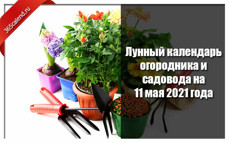 Лунный календарь садовода и огородника на март 2022. Календарь садовода и огородника на март 2022. Садоводу в марте 2022. Гороскоп садовода на 2024 год