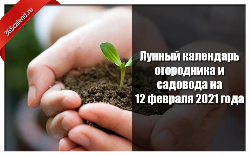 Новые законы для садоводов. Календарь садовода и огородника на 2023 для Сибири.