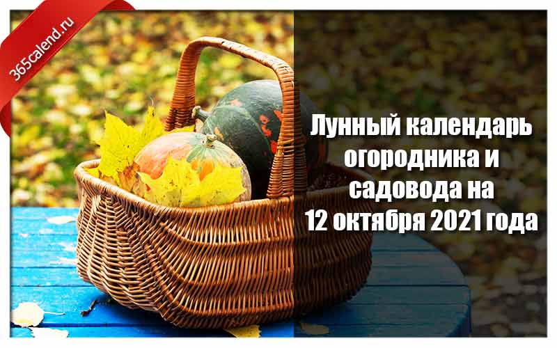 Календарь садовода на октябрь 24 года Лунный календарь огородника и садовода на 12 октября 2021 - благоприятные дни