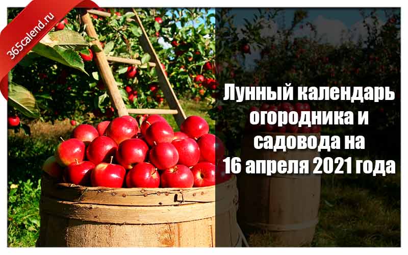 Мир космоса садовода и огородника. Календарь садовода огородника на апрель 2021 год. 16 Апреля день садовода. Астросфера Садовод. Шестой фестиваль садоводов и огородников на Чекотова 2021 год.