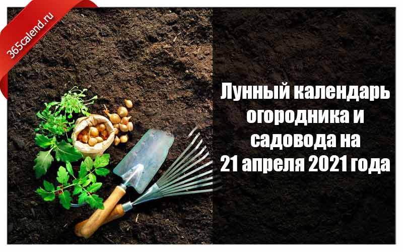 Года садовода. День садовода и огородника. Идеи для садоводов и огородников. Календарь посадки цветов. Приколы про садоводов огородников.