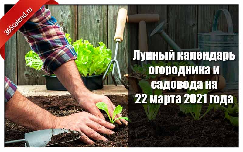 Лунный календарь огородника и садовода на 22 март‎а 2021 ...