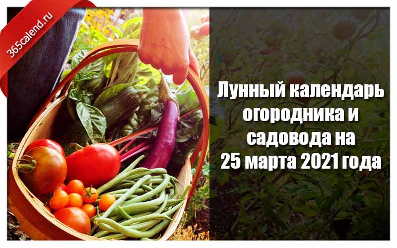 Календарь садовода на 2021 год Лунный календарь огородника и садовода на 25 март а 2021 - благоприятные дни