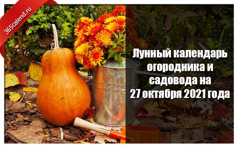 Лунный на октябрь огородника. Календарь садовода и огородника на октябрь 2021 года. Лунный календарь огородника октябрь 2021. Лунный календарь октябрь 2021 для садовода. День садовода и огородника 2021.