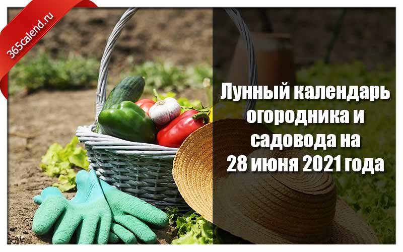 Года садовода. День садовода и огородника. День садовода и огородника открытки. С днем огородника дачника. Открытка огороднику.