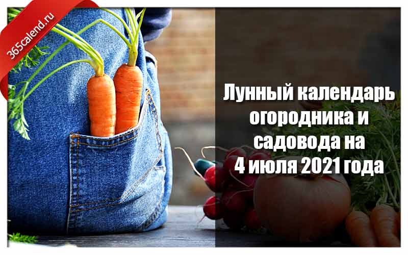 Лунно посевной июль. 2021 Год садовода и огородника. Календарь садовода и огородника на 2021. Лунный календарь 2021 садовода и огородника. Календарь садовода и огородника на 2021 год.