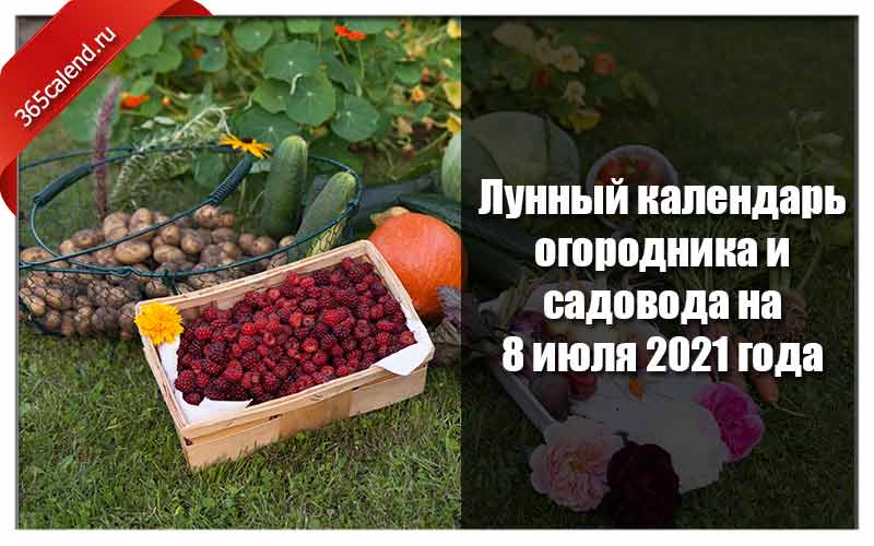 Новые законы для садоводов. Садоводы дачники. Шпаргалка для огородника. Когда день дачника в 2022 году. Шестой фестиваль садоводов и огородников на Чекотова 2021 год.