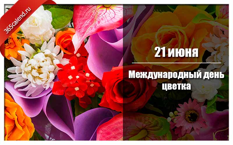 День цветка 21 июня картинки