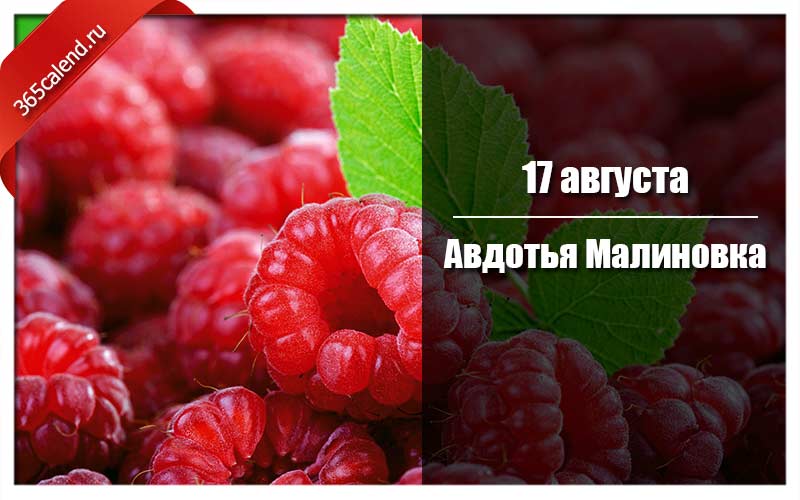 17 августа авдотья малиновка картинки