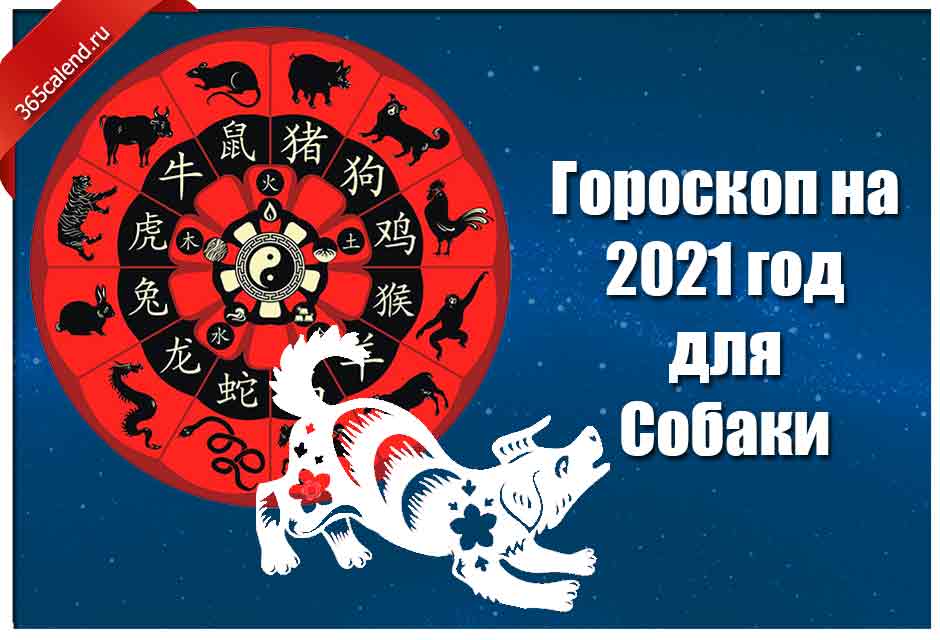 2021 какой гороскоп. Год собаки гороскоп. Гороскоп 2021. Гороскоп на 2021 год. Год собаки китайский гороскоп.