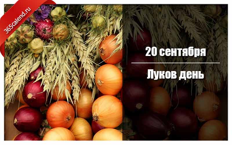 Луков день. Луков день 20 сентября. 20 Сентября луков день народный календарь. Луков день сценарий.