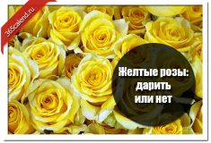 Желтые розы: дарить или нет