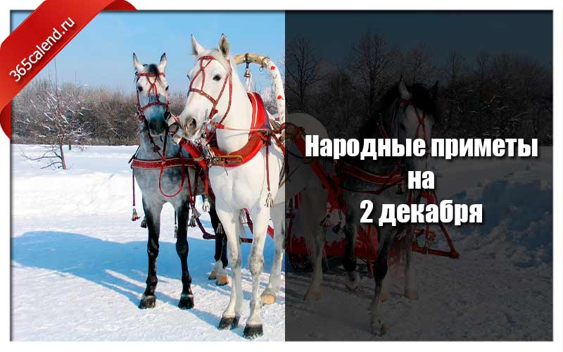 02 декабря. Народные приметы на декабрь 2021. 2 Декабря народные приметы. 2 Декабря Авдей радетель приметы. 2 Декабря народный календарь.