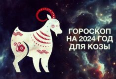 Гороскоп на 2024 год для Козы