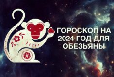 Гороскоп на 2024 год для Обезьяны
